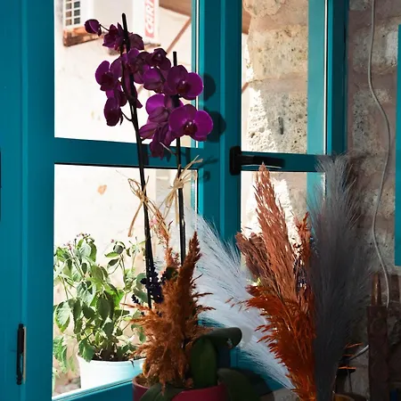 Casa Alegre * Αλακάτι