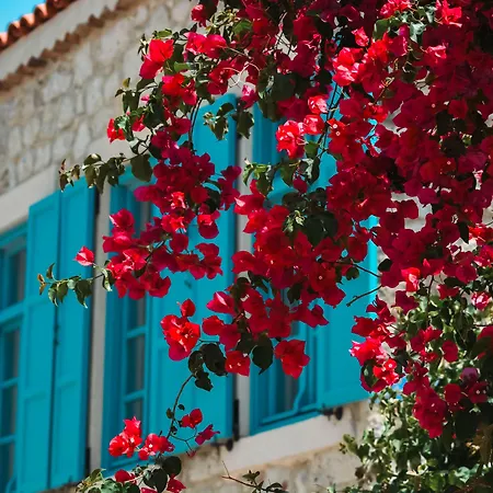 Casa Alegre * Αλακάτι