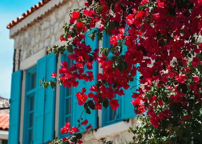 Casa Alegre * Alacati