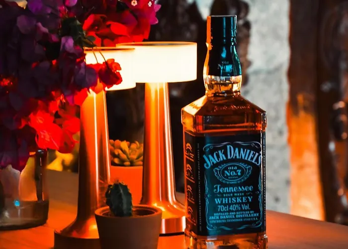 Casa Alegre 酒店 阿拉恰特